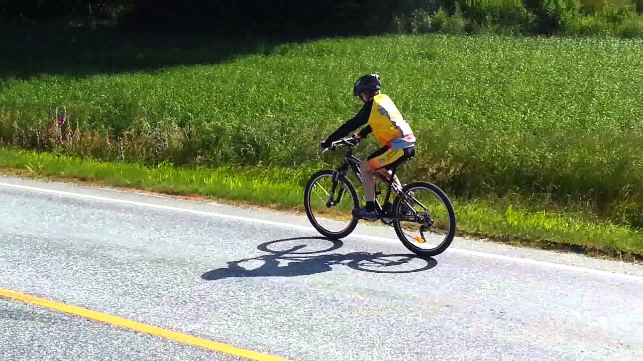 Temporitt Martin Lien-Aas