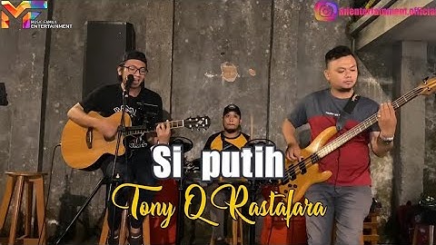 SI PUTIH - TONY Q RASTAFARA COVER BY PUTRA DAJUAN Feat. PRIA PENCARI CUAN