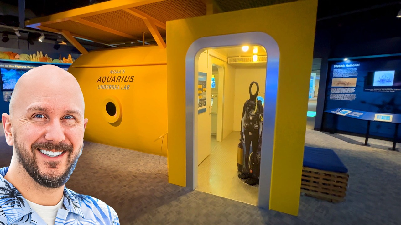 I Found an awesome FREE Attraction in Key West | Florida Keys Eco Discovery Center