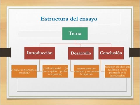 Cual es la estructura de un texto