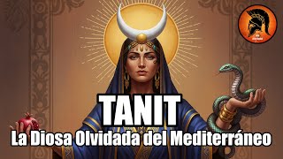Tanit: La Diosa Olvidada del Mediterráneo #eltiempoentreleyendas #leyendas