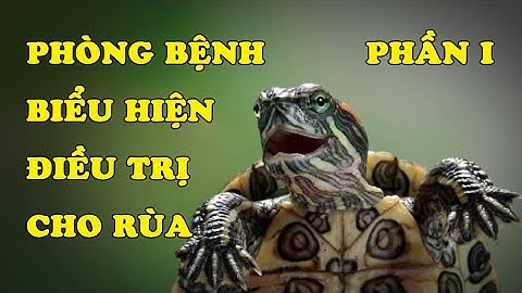 Nguyên nhân làm cho rùa bị bệnh