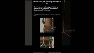 useless facts that you probably didn't know 1 #zeldatotk #totk #link #funny #memes #facts #gaming