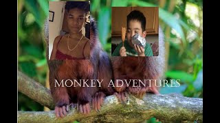 Monkey Adventures w/h Ly and Ric screenshot 4