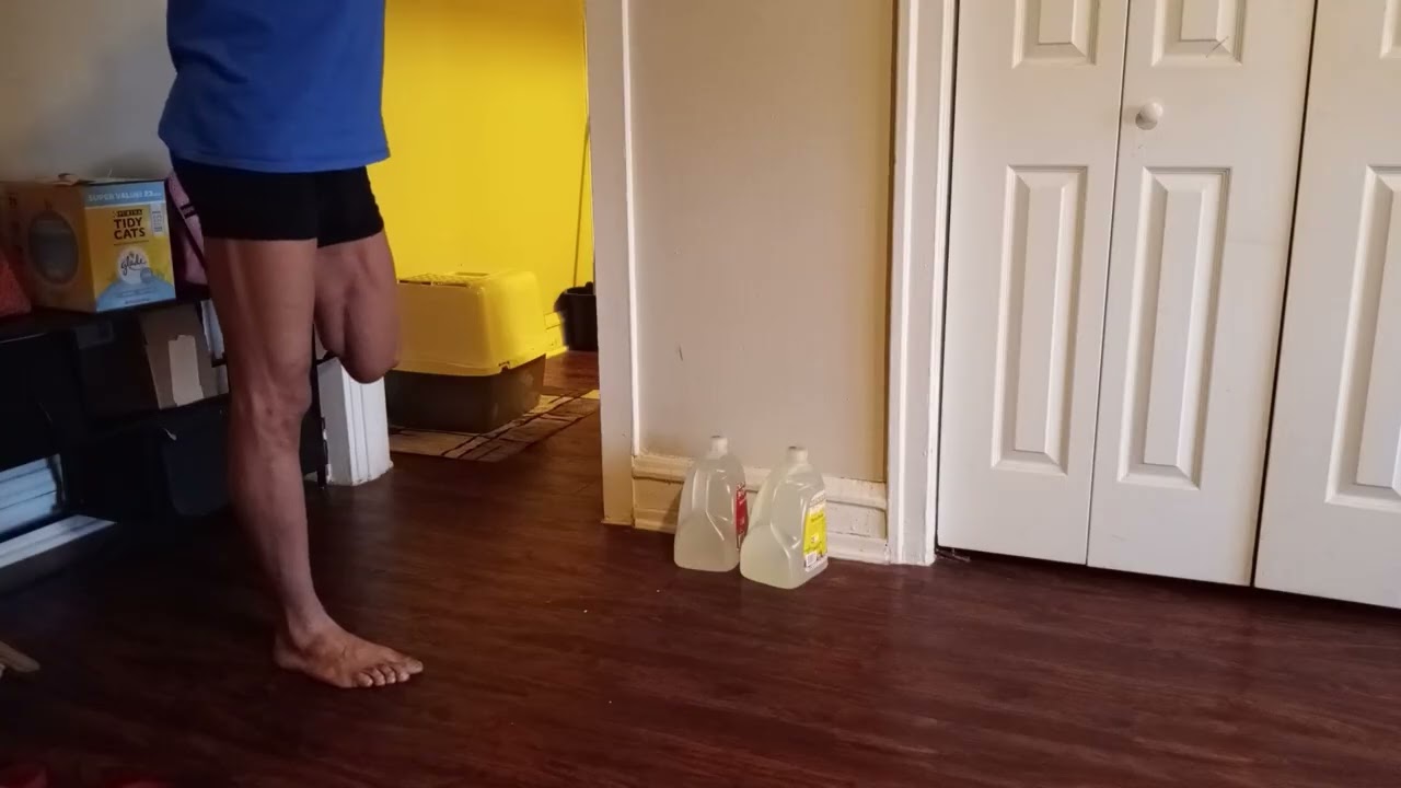 Day 19 – Home Workout (Upper Body Focus)