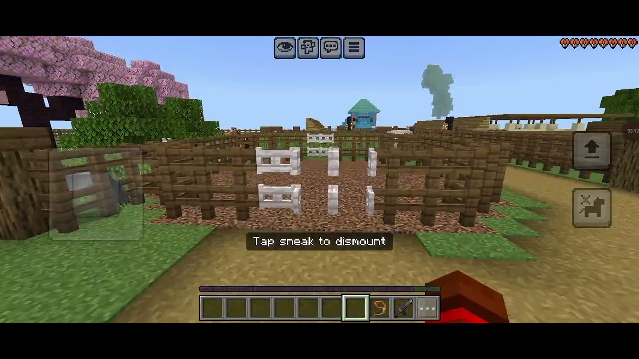 Amansando o cavalo achado