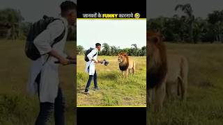 “Jab Janvar Ban Gaye Comedy King 😂🐾”  most animal funny video 🤣।#funny #comedy #shorts