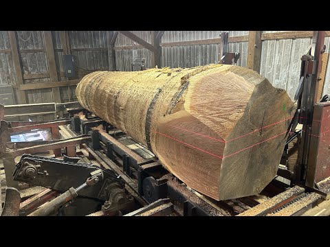 Making Big Logs Go Boom! Plus Saw-Milling a 29 Inch Diameter Black Oak!