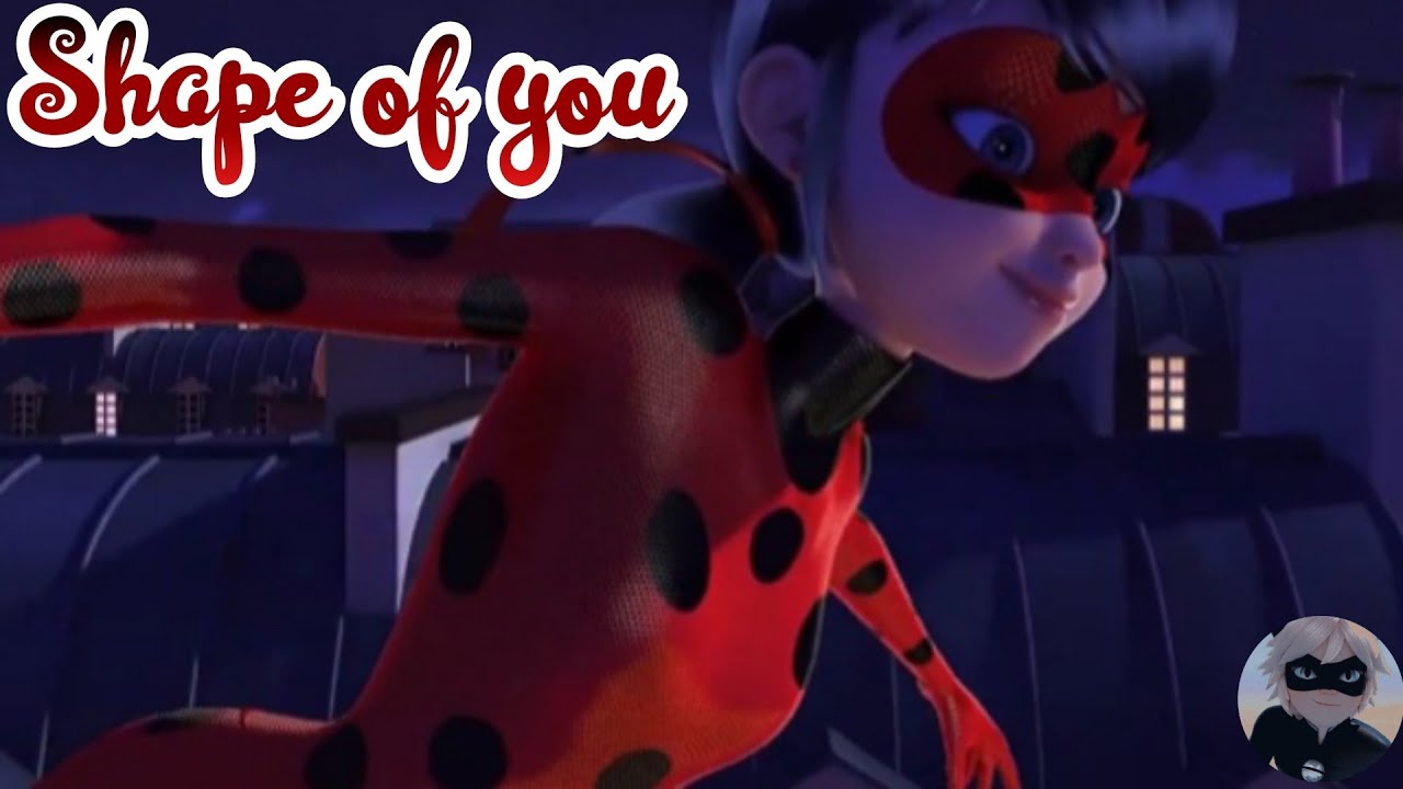 Shape Of You|AMV|Ladynoir~