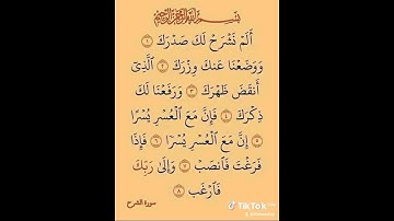 ألم نشرح لك صدرك #قرآن #قران_كريم #تلاوة_خاشعة #تلاوات #دعاء #دعاء_مستجاب