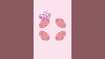 Procreate Timelapse Creating a Pattern Design for My Store Shop Amei #brand #handmade #artsandcrafts