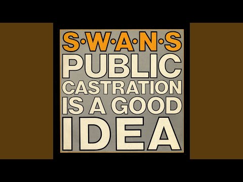 Swans — A Screw
