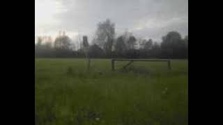 MOV0021A.avi