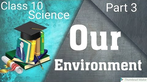 Our Environment (Part 3) Biology CBSE class 10  Science chapter 15 ,Food chain and web