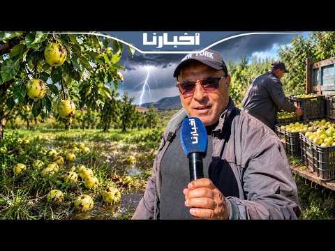 Ait Ayach-Midelt: A professional reveals the suffering of those affected by thunderstorms: We los...