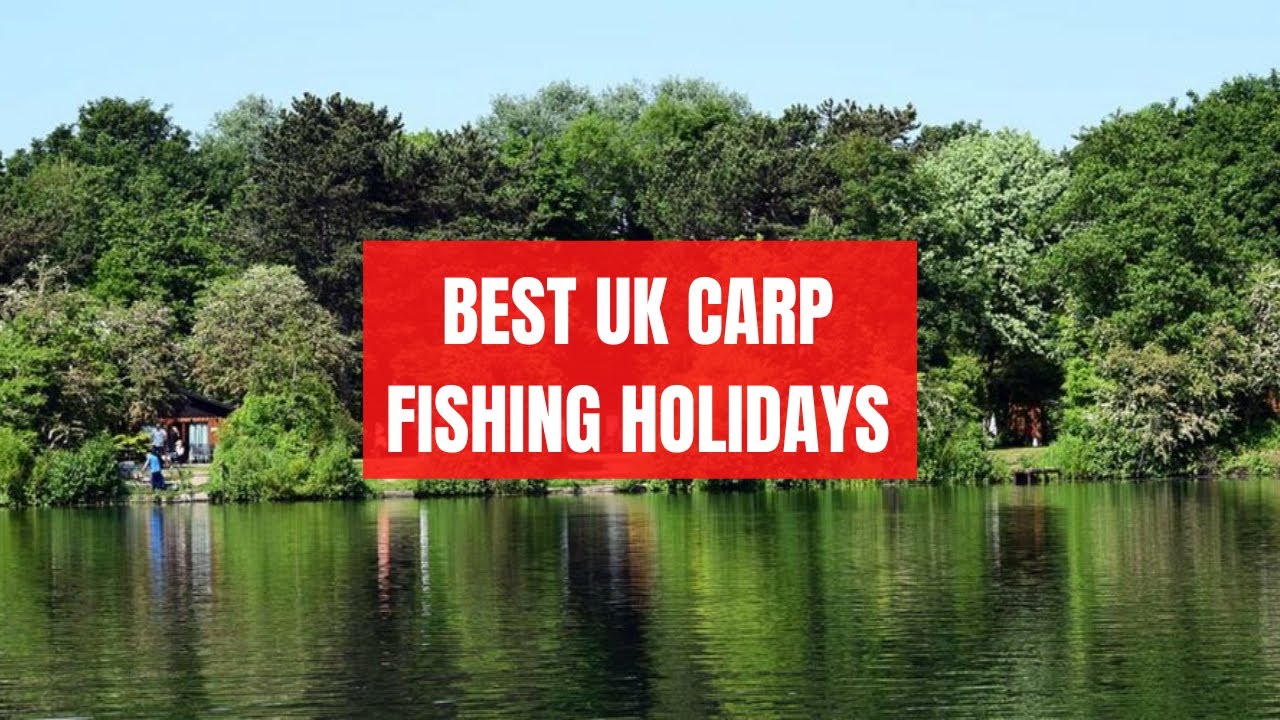 5 Best UK Carp Fishing Holidays Family Holiday Parks With Carp