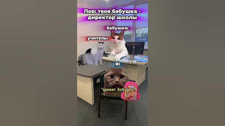 #коты #мем #котымемы #школа