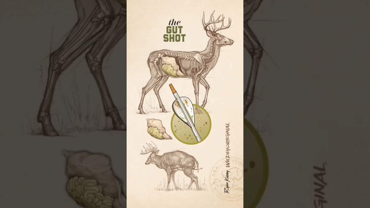 Only an archery deer hunter would know. Prints at ryankirbyart.com 