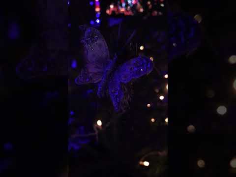 Happy New Year 🎄 2024 ❤️🌎 | ♾ИЗОБИЛИЕ