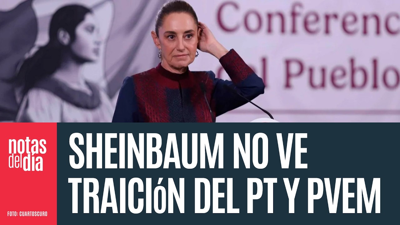 CSP no ve traición de PT y PVEM, sino puntos de vista distintos de Reforma Electoral