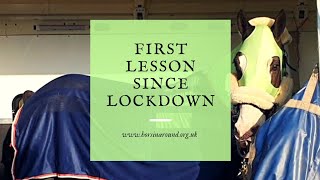 Our First Lesson Since Lockdown - This Cob Can! - Flatwork Lesson Vlog & Blog