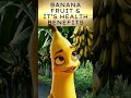 BANANA FRUIT &amp; IT'S HEALTH BENEFITS