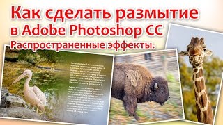 Как сделать размытие в Photoshop. Самые распространенные эффекты.