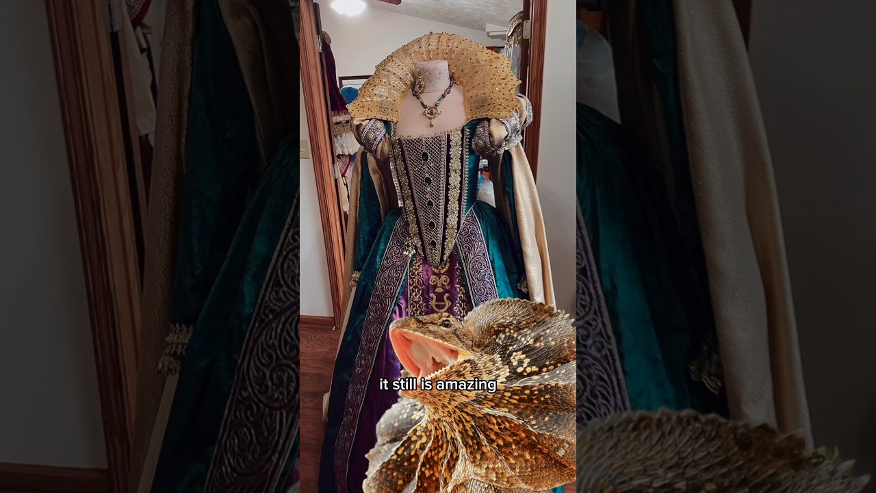Went down a frilled neck lizard rabbit hole and made a costume as an excuse to make a collar