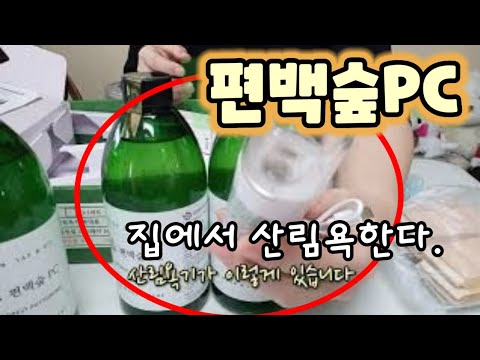 집에서 즐기는 편백나무숲 산림욕 [ 편백숲PC 편백수액 ]