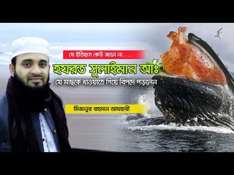 ভিডিও: যুদ্ধবিমান। প্রায় ফরাসি 