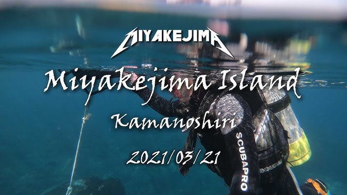 21 03 19 三宅島 ザトウクジラ Youtube 21 03 19 三宅島 ザトウクジラ Youtube