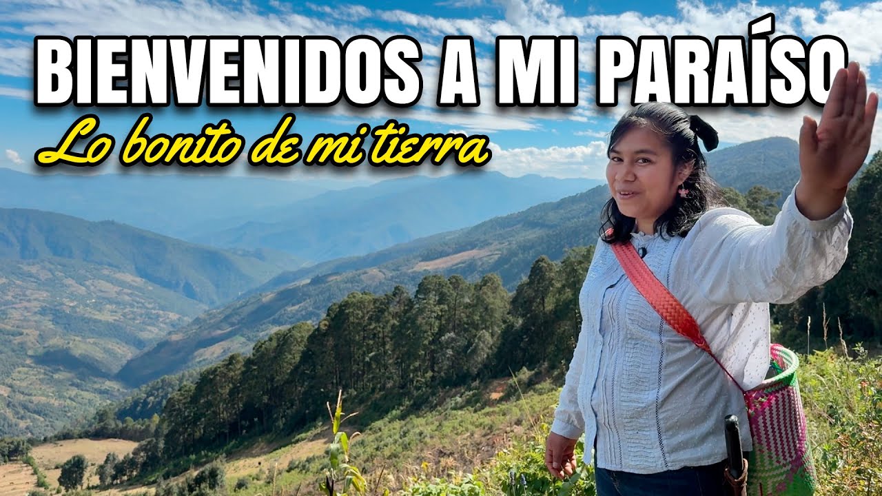 Acompáñame a respirar aire puro: Un paseo por los pinos y el campo