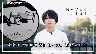 東京でも飛ばせる199gのドローン「DJI Mavic mini」を予約しました