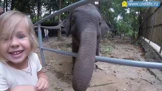Катание на слонах на Самуи: Намуанг Сафари Парк (Namuang Safari Park)