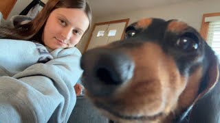 ASMR Pampering My Sleeping Dog! (mouth sounds, hair brush, makeup brush, pets!)