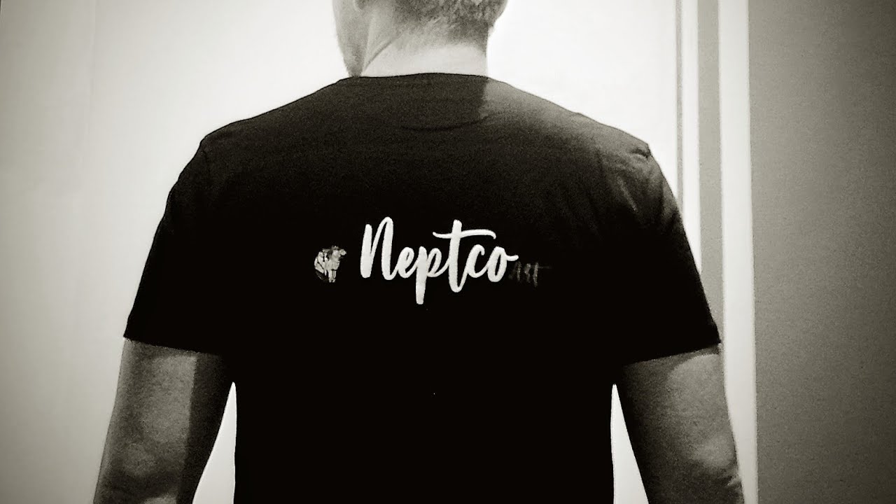 neptco art intro 2