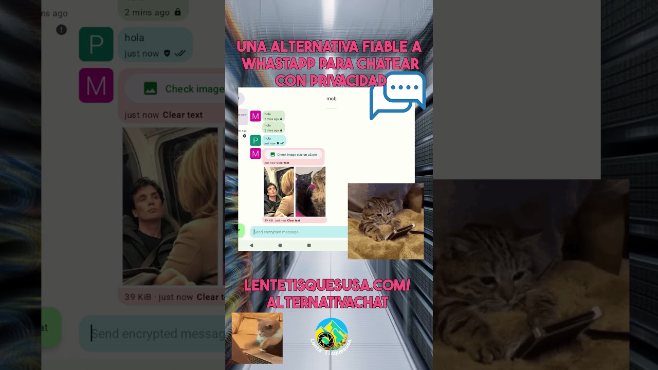 Una alternativa fiable a Whastapp para chatear con privacidad 💬💭 #whatsapp #jabber #alternative