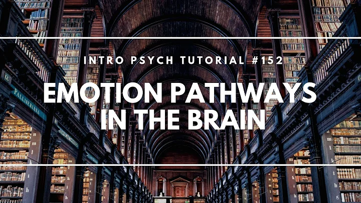 Emotion Pathways in the Brain (Intro Psych Tutorial #152)