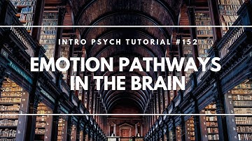 Emotion Pathways in the Brain (Intro Psych Tutorial #152)