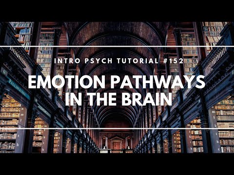 Emotion Pathways in the Brain (Intro Psych Tutorial #152)