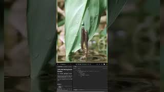 Day #49 | 100 day Leetcode challenge |Deadpool Codes | #code #leetcode #python #dsa