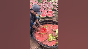Hundreds of Watermelons Were Cut Open for Seeds