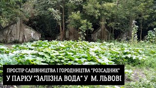 Простір садівництва і городництва "Розсадник" у парку "Залізна вода" у місті Львів, Україна