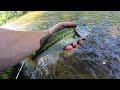 Wade-Fishing New Waters - River &amp; Creek Exploration