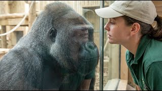 Download Lagu No One Expected What Happened Next MP3