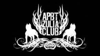 Apbt Zulia Club El Loco Y Sus Amigos