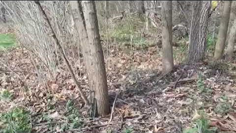 .22 Caliber Alarm Mine - Trip Wire Alarm Review