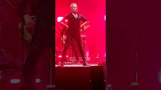 M-CLAN -Concierto Salvaje #shorts  #mclan #zaidinrock