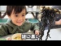 みんなでラーメン・祖母をかわす地下鉄ルーティン【未公開】