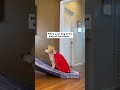 Funny prank videos #foryou #funnyvideos #funny #viralvideo